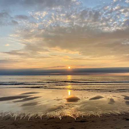 Wattblick App 6 * Sylt