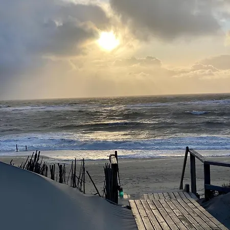 Wattblick App 6 Sylt