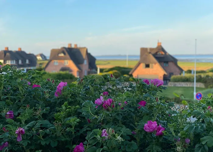 Wattblick App 6 Sylt